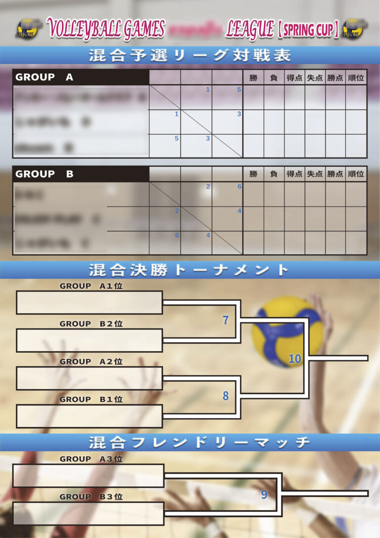 VOLLEYBALL パネル例